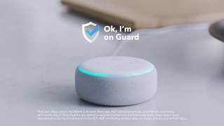 ADT  Alexa  Safe and Sound [upl. by Nirag]