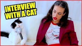 MIRANDA INTERVIEWS A CAT [upl. by Kcirad]