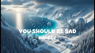 Halsey  You should be sad Lyrics [upl. by Nonnairb]