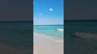 Destin FL 윤후 destin florida hilton sandestin familytrip 데스틴 플로리다 미국여행 shark floridashark [upl. by Yednarb]