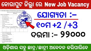 New Job Vacancy in Koraput District  Apply all Odisha Students [upl. by Reed]