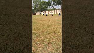 kho kho game Practice video 2 [upl. by Nath688]