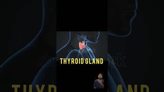 Thyroid hormonethyroid glandfacts in hindi shorts youtubeshorts [upl. by Assyla]