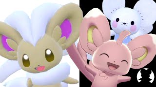 【Pokecute】Minccino＆Cinccino pokemon cute animation [upl. by Namrak628]