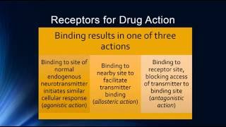 Psychopharmacology amp Pharmacodynamics [upl. by Betthezul]