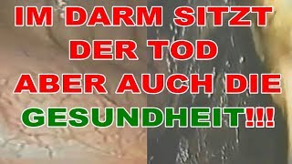 Der TOD sitzt im Darm aber auch die GESUNDHEIT❗ KLARTEXT❗ Treffe eine Entscheidung in dein Leben❗ [upl. by Eanom]