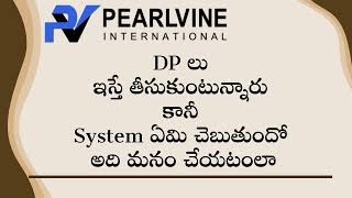 Pearlvine International We are taking DPs from system but not doing what the system tells us [upl. by Siva]