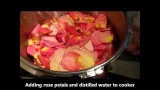 Rose Hydrosol Homemade Still Method [upl. by Jonny]