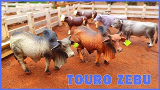 Fazenda de brinquedo INCRÍVEL CHEGOU OS DOIS TOUROS ZEBUS [upl. by Alegna]