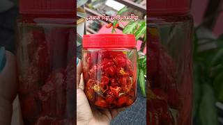 Bhut jolokia achar ghostchilli kingchilli assamesepickle assamesefood recipe cooking pickle [upl. by Laws]