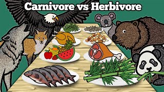 Carnivore vs Herbivore Animals  Learn What Animals Eat In The Forest  Drawing and Coloring Animals [upl. by Ennove]