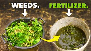 Better than Miracle Gro Make Fertilizer from Weeds [upl. by Abert]