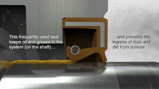 Shaft Seals amp Rotary Seals — Trelleborg Sealing Solutions [upl. by Haerdna]