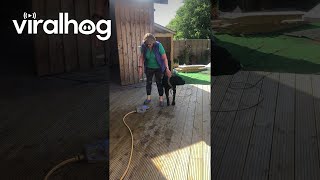 Cane Corso Splashes Owner With Hose  ViralHog [upl. by Jovia]