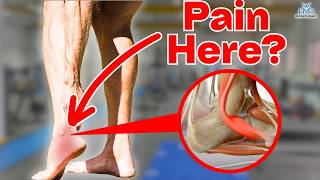 5 BEST Peroneal Tendinopathy Rehab Exercises [upl. by Pincince]