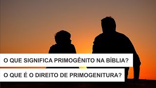 O que significa primogênito na Bíblia O Que é o Direito de Primogenitura [upl. by Aicinat]