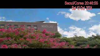 Soongsil University Polisci님의 실시간 스트림 [upl. by Sire]