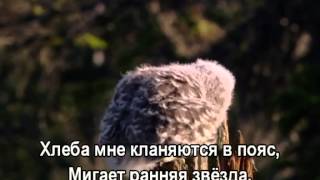 Россия Родина моя  Валентина Толкунова With lyrics [upl. by Aztinaj]