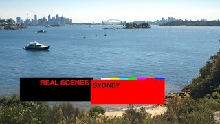 Real Scenes Sydney  Resident Advisor [upl. by Cloots]