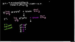 Linkage Mapping Part 3 Recombination Frequency and Genetic Distance 2 loci [upl. by Karab]