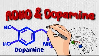 Understanding ADHD amp Dopamine Its More Than a Deficit [upl. by Kopple248]