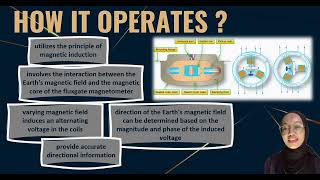 G9 Fluxgate Compass MNS4103 [upl. by Eilrebma]