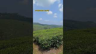 travel tealeafillayarajasonggodsowncountryvandiperiyar [upl. by Millwater]