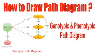 how to draw path diagram  path diagram  SEM diagram  genetics path diagram  genetic path diagram [upl. by Warton545]