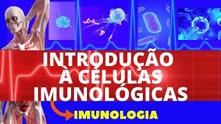 INTRODUÇÃO À CÉLULAS IMUNOLÓGICAS ENSINO SUPERIOR  FUNÇÕES E CARACTERÍSTICAS DAS CÉLULAS IMUNES [upl. by Wyn]