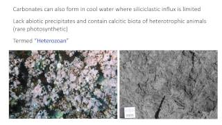 26  Coolwater carbonates [upl. by Felix369]