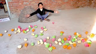 100 Baby Chicks 🐤  Mera New Chozha 😍  Dawood Sabir Vlogs [upl. by Uhsoj405]