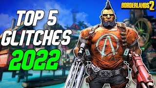 Borderlands 2 Glitches That Still Work In 2022  Massive Damage Infinite Ammo and More [upl. by Niemad865]