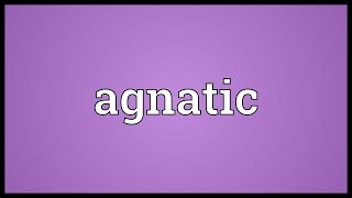 Agnatic Meaning [upl. by Niall]