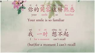 甜蜜蜜 Tián Mì Mì  The Most Classic of 邓丽君 Dèng Lìjū  Lyrics in Chinese PinyinEnglish [upl. by Sherman]