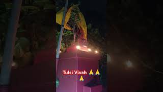 Tulsi Vivah 🙏music song love trending viralvideo viralshort viralshortsvideos shorts short [upl. by Liddie]