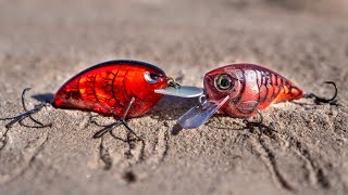 Squarebill Crankbait Tricks To Catch More Bass Right Now [upl. by Frick]