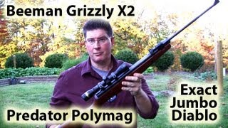 Beeman Grizzly X2 Review  Shooting Predator Polymag and Exact Jumbo Diablo 22 [upl. by Kennett]