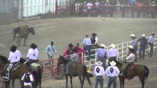 Wild Horse Race Cheyenne Frontier Days [upl. by Etteoj]