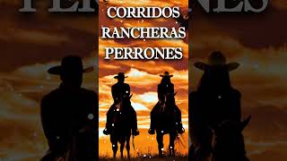 Corridos Rancheras Perrones  Puros Corridos Viejitos Mix [upl. by Joshua932]