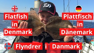 Flatfish fishing techniques in Denmark [upl. by Giacobo]