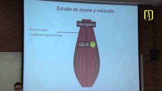 Estados metabólicos nutricionales  Bioquímica médica [upl. by Zola]