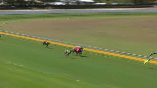 Bundaberg16092024Race6 [upl. by Ebsen500]