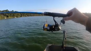 Shimano Nexave FI Spinning Reel Review amp Field Test [upl. by Rockel593]