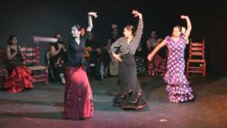 Flamenco Dance Tarde Andaluza [upl. by O'Shee]