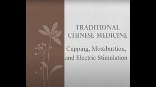 Cupping Moxa and Electric Stimulation  Traditional Chinese Medicine and Acupuncture [upl. by Tyson]