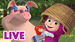 🔴 LIVE STREAM 🎬 Masha and the Bear ☀️ On a Hot Summer Day 🍉🥵 [upl. by Marx]