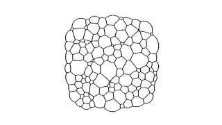 2D Dry Foam Coarsening example using parallel methods [upl. by Leonore]