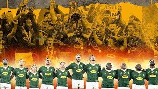 SPRINGBOKS HYPE 2023  RUGBY WORLD CUP FINALS 2023 [upl. by Darsey768]