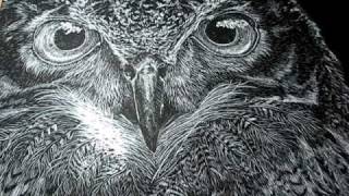 Owl Scratchboard Art Video 2 [upl. by Eliason]