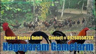 Welcome To The Range Area Of Nagayaram Gamefarm [upl. by Doro903]